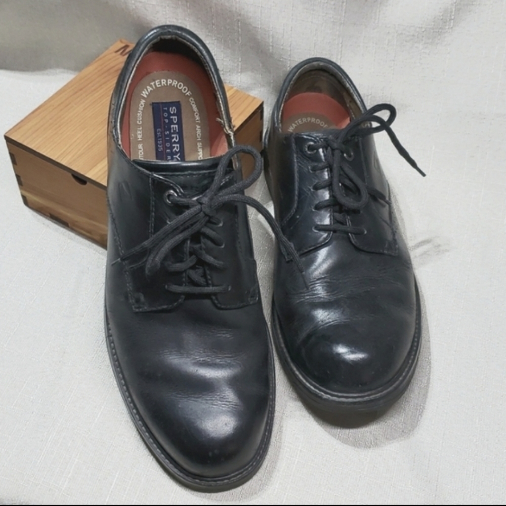 Sperry Top Sider Waterproof Lace Up Mens Shoe